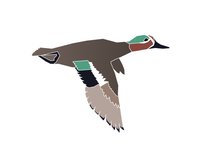 Ozons aicina uz čempionātu